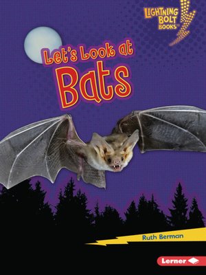 cover image of Let's Look at Bats